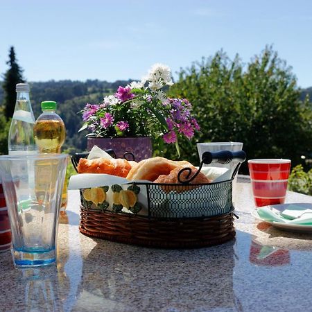 Ferienappartement Donautal Obernzell Exteriér fotografie